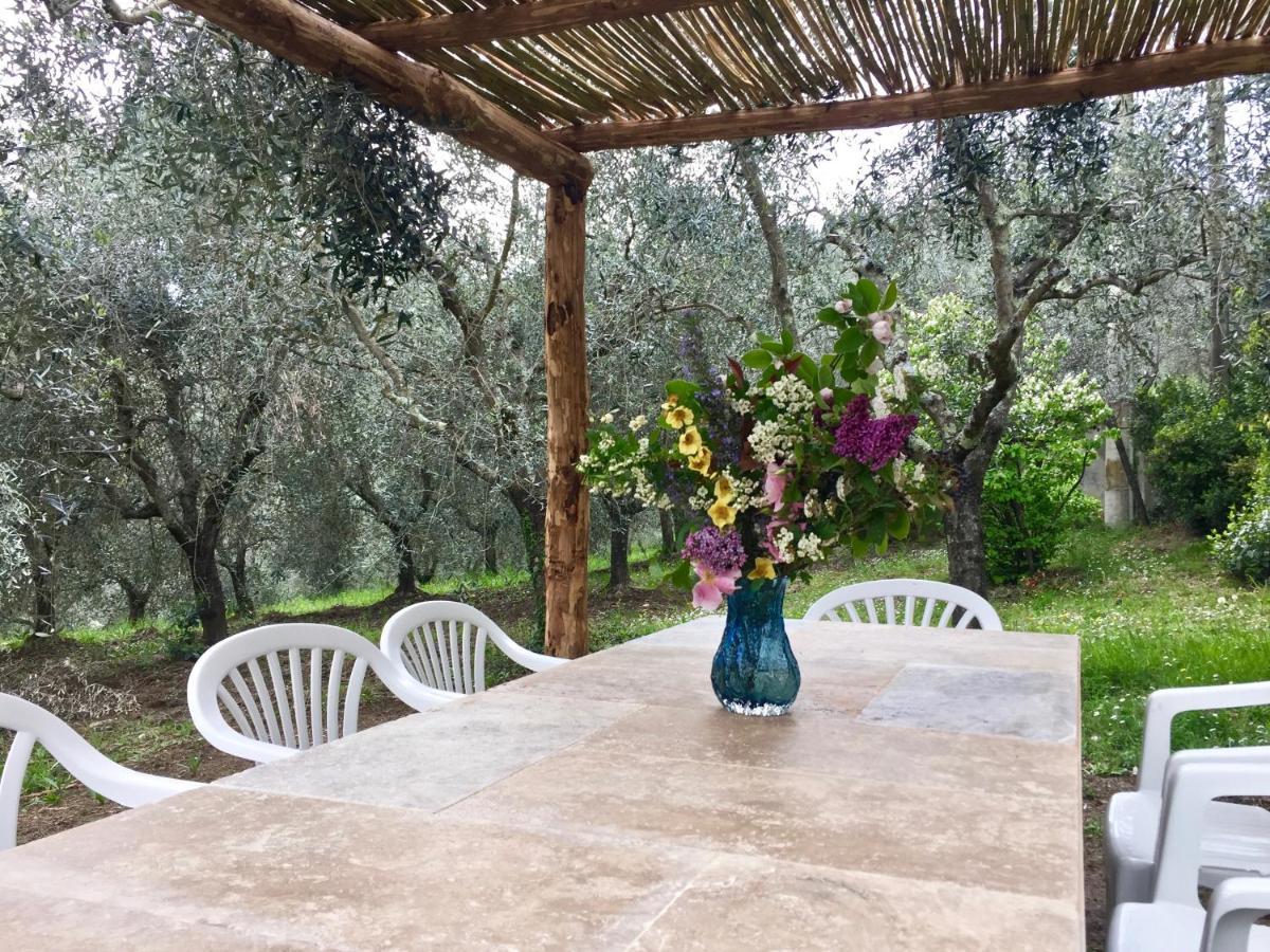 פייגלין ולדרנו Agriturismo Fattoria Celle מראה חיצוני תמונה