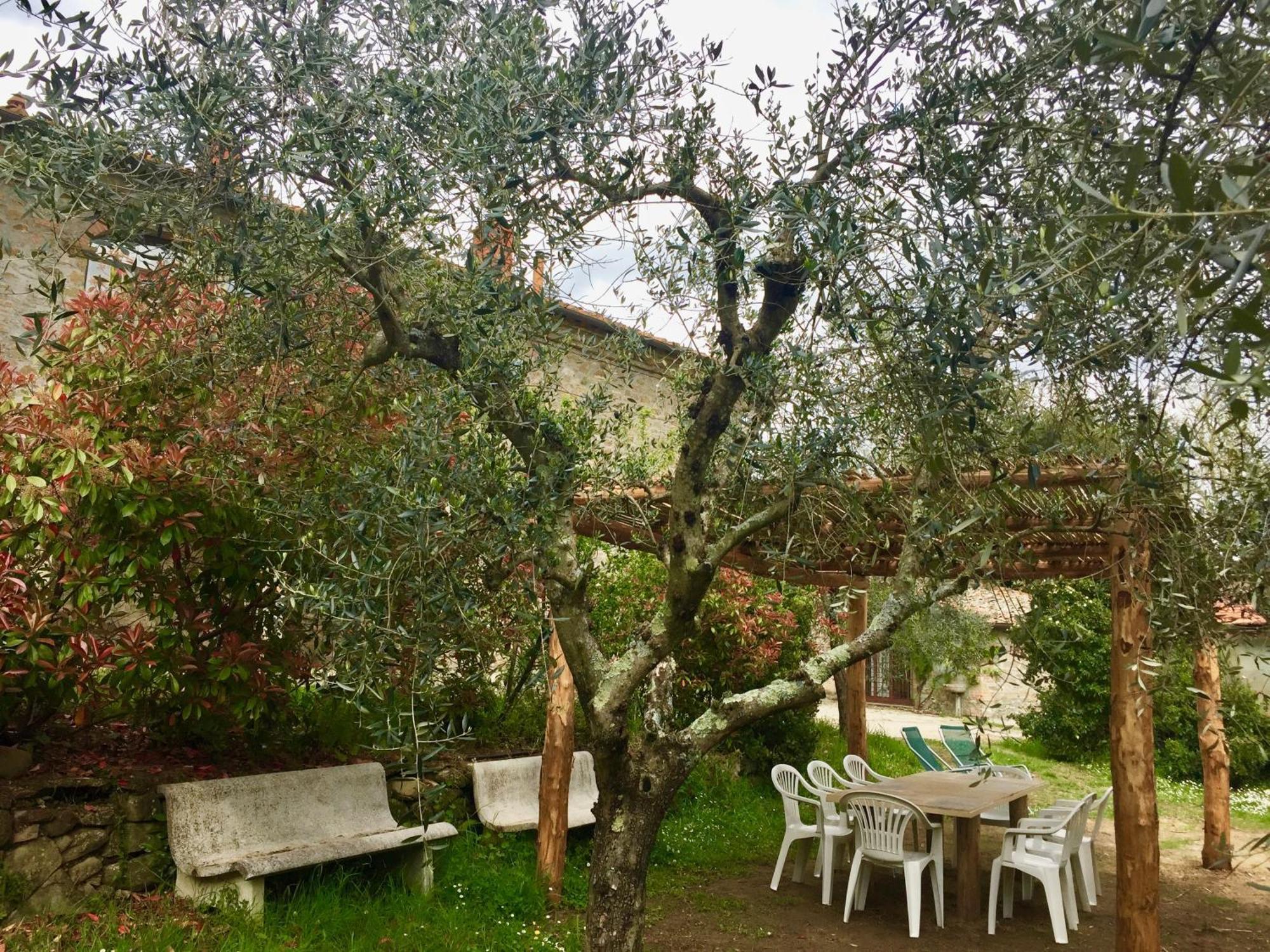 פייגלין ולדרנו Agriturismo Fattoria Celle חדר תמונה