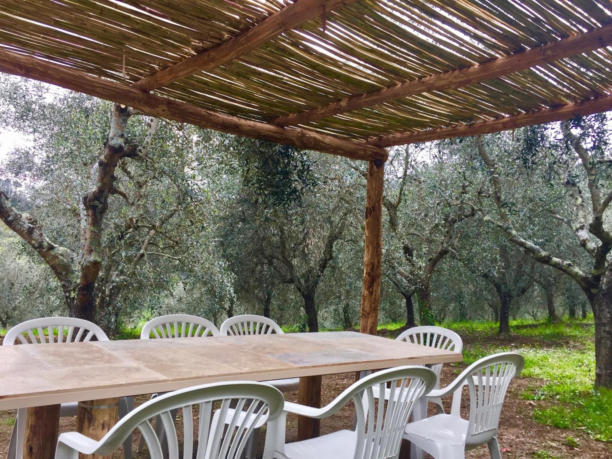 פייגלין ולדרנו Agriturismo Fattoria Celle חדר תמונה